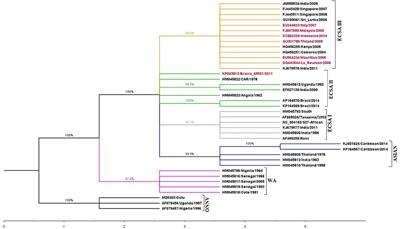 Defining Efficacy of Chikungunya Virus Candidate Vaccines: Different Endpoints Derived From the Virus—Cytokine—Ferritin (VCF) Model